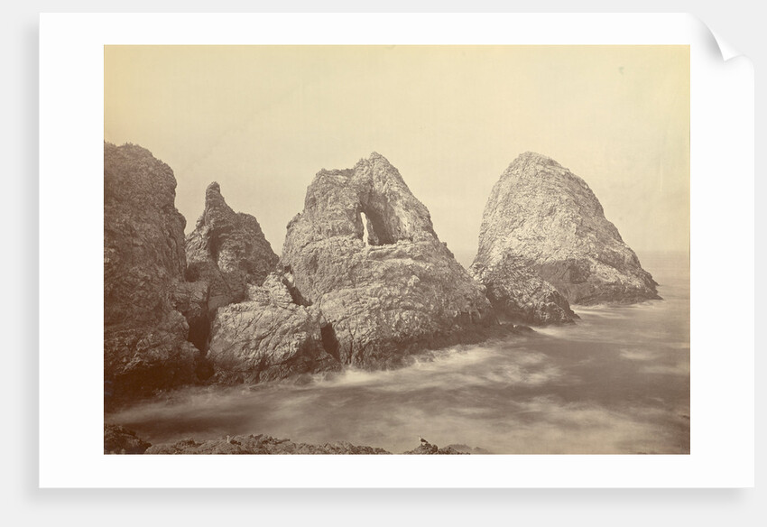 Sugarloaf Islands at Fisherman's Bay, Farallon Islands by Carleton Watkins