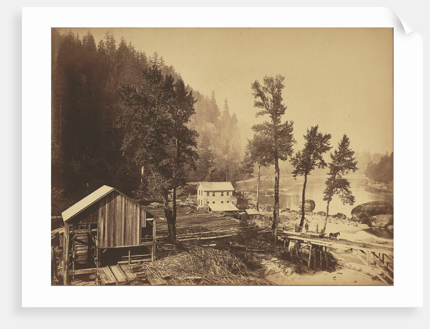 Eagle Creek, Columbia River by Carleton Watkins