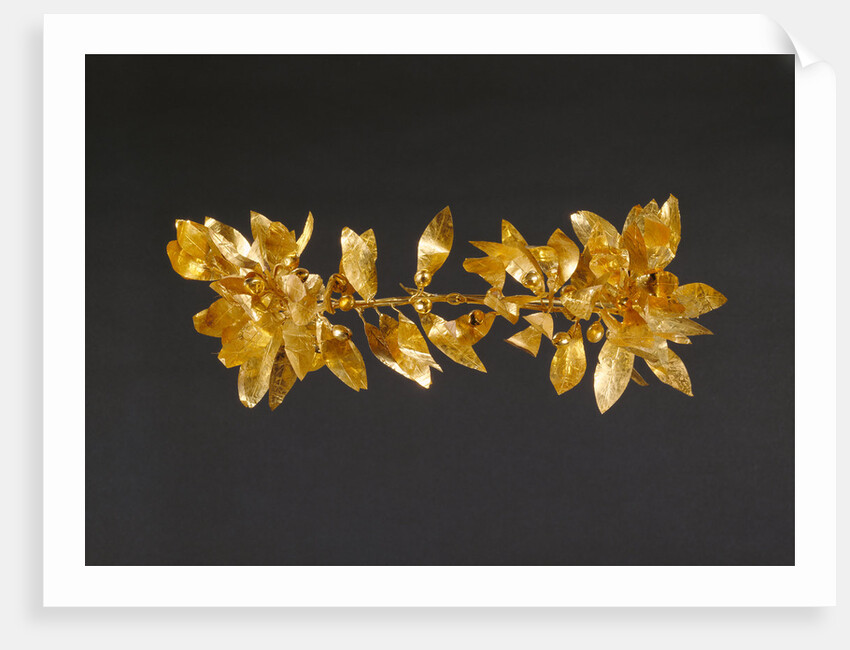 Wreath with detached stem including leaves and detached berries by Anonymous