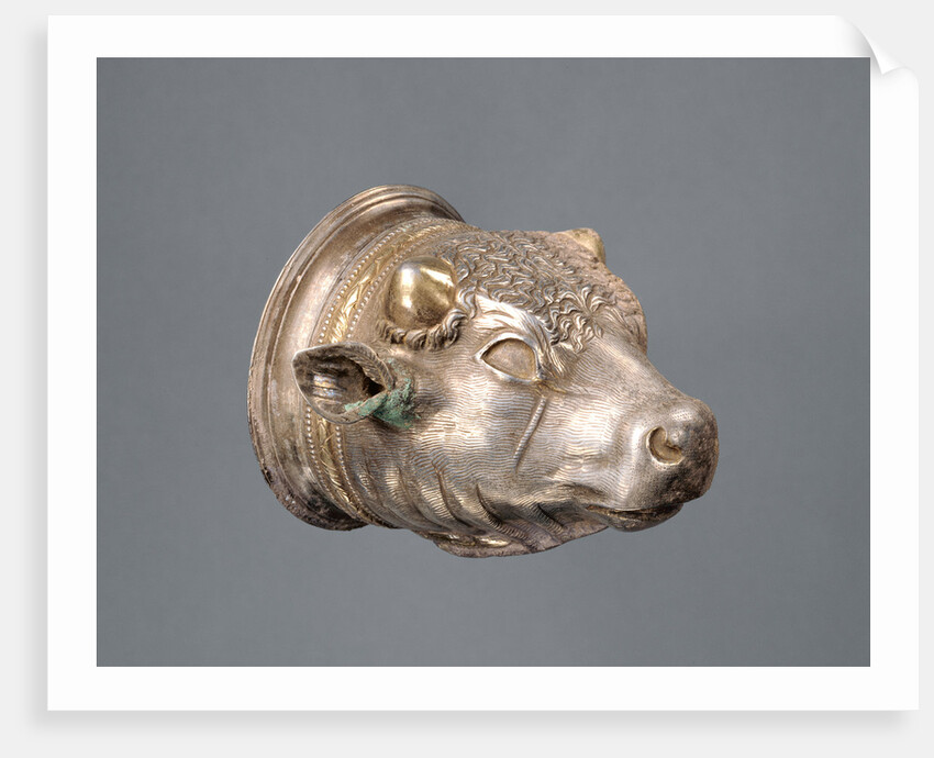 Bull's Head Cup with separable liner by Anonymous