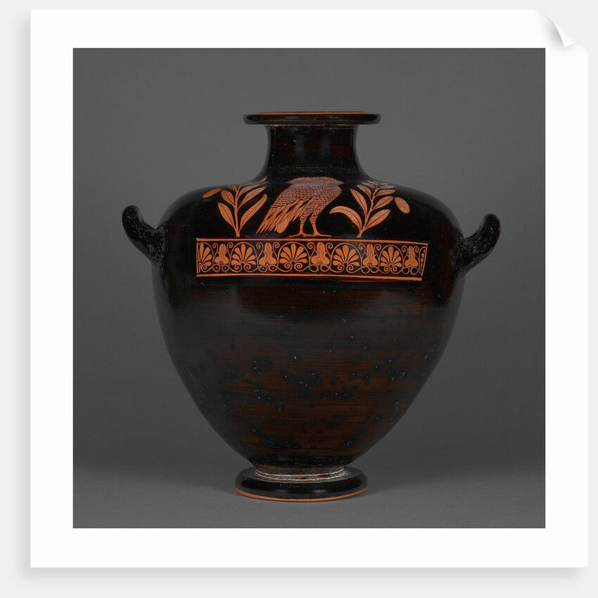 Red-Figure Kalpis by Group of the Floral Nolans