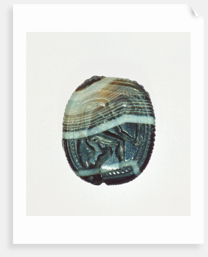 Scarab by Anonymous