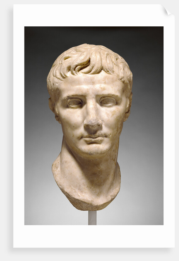 Portrait Head of Augustus by Anonymous