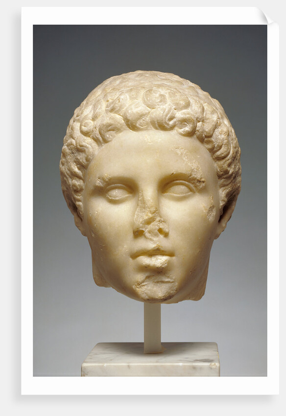 Portrait of Hephaistion by Anonymous