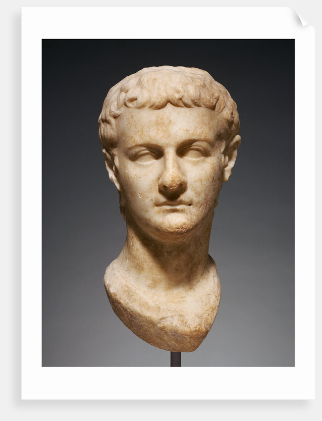 Portrait Head of Caligula by Anonymous