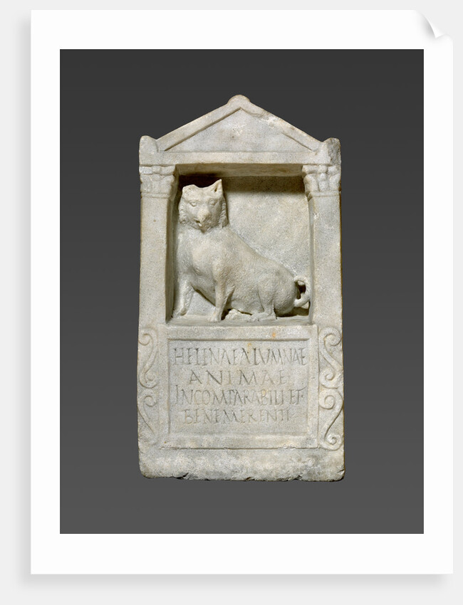 Grave Stele For Helena by Anonymous