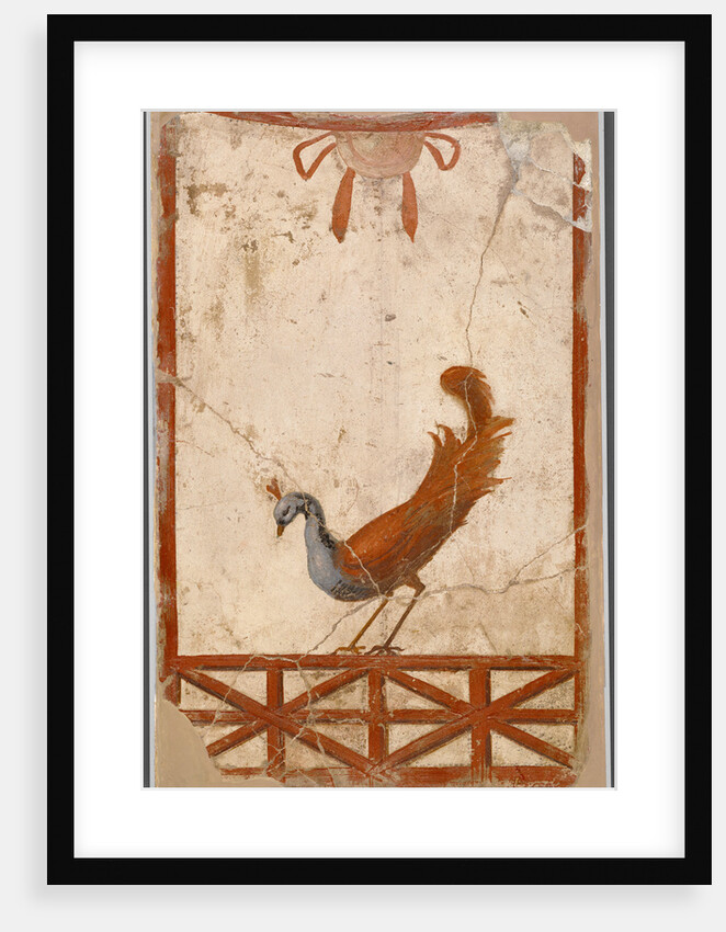 Wall Fragment with a Peacock by Anonymous