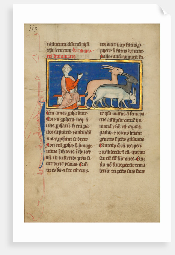 Amos and Three Goats by Anonymous