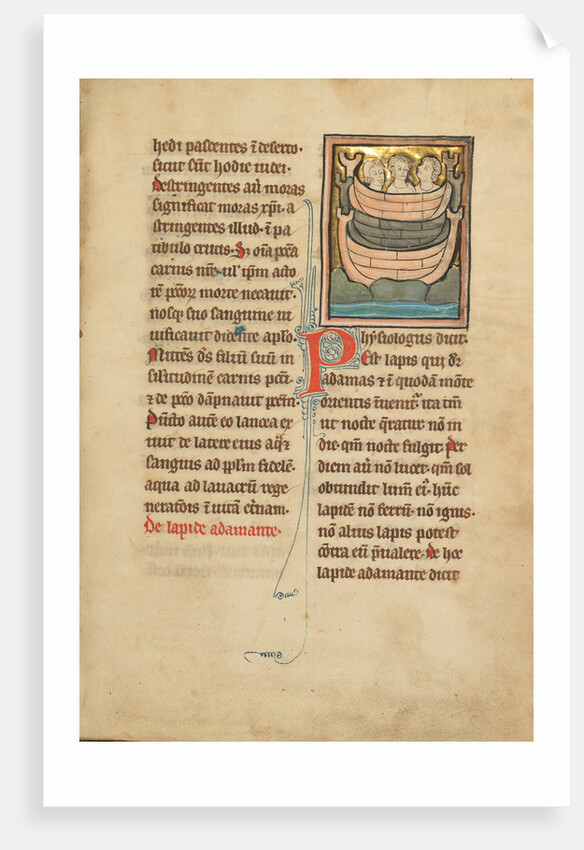 A Magnet Stone by Anonymous