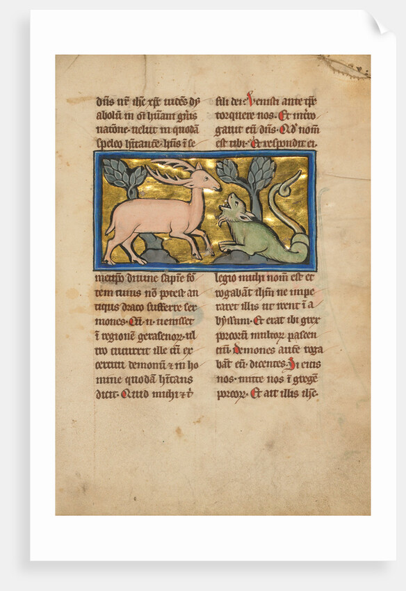 A Stag before a Dragon-like Snake by Anonymous