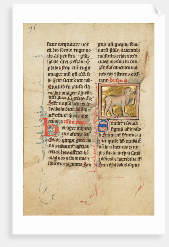 A Monkey by Anonymous