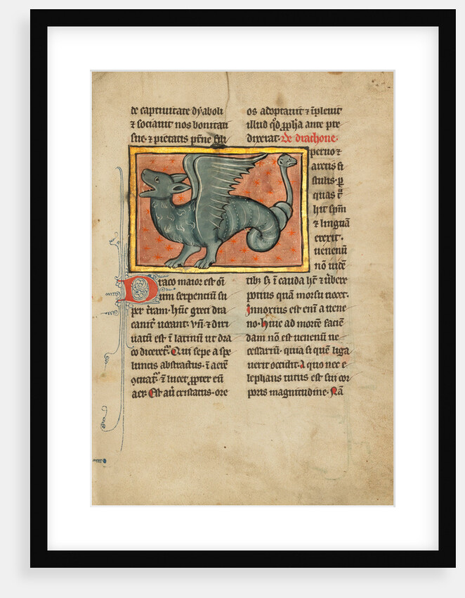 A Winged Dragon by Anonymous