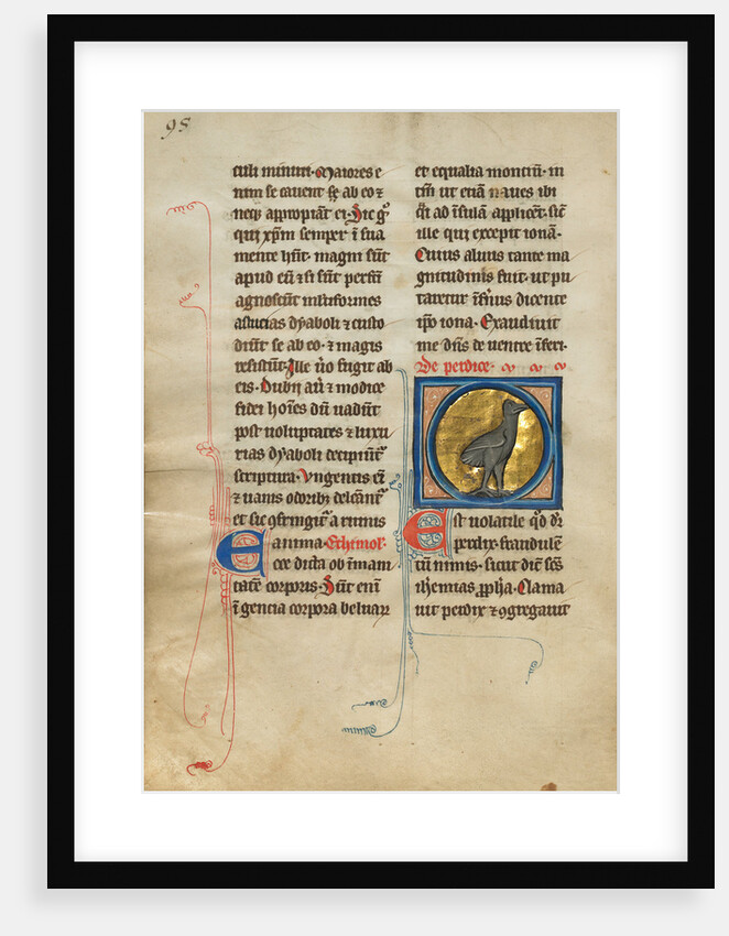 A Partridge by Anonymous