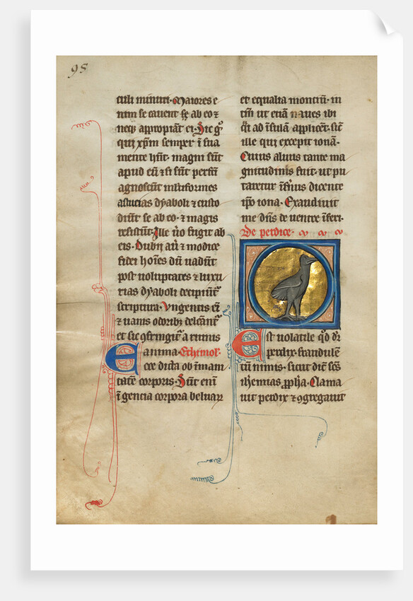 A Partridge by Anonymous