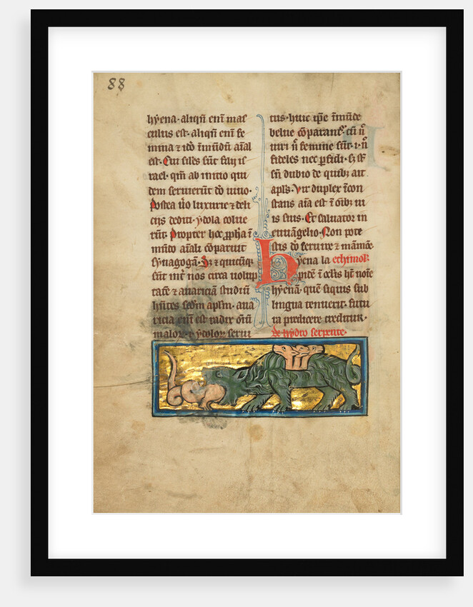 A Crocodile Devouring a Water Snake by Anonymous