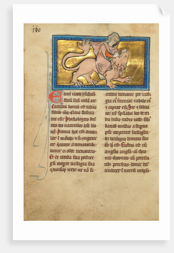 Samson Fighting a Lion by Anonymous