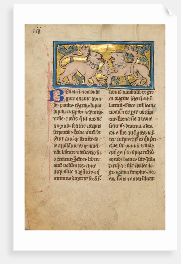 Two Lions Reviving their Dead Cubs by Anonymous