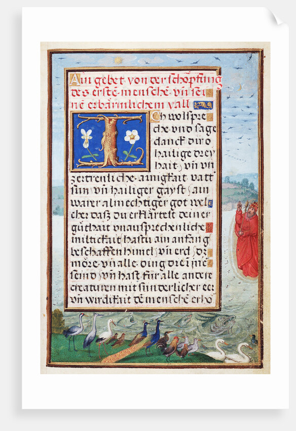 Border with the Creation of Birds and Fishes by Simon Bening
