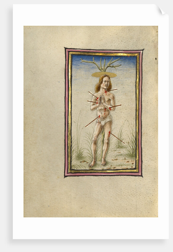 The Martyrdom of Saint Sebastian by Taddeo Crivelli