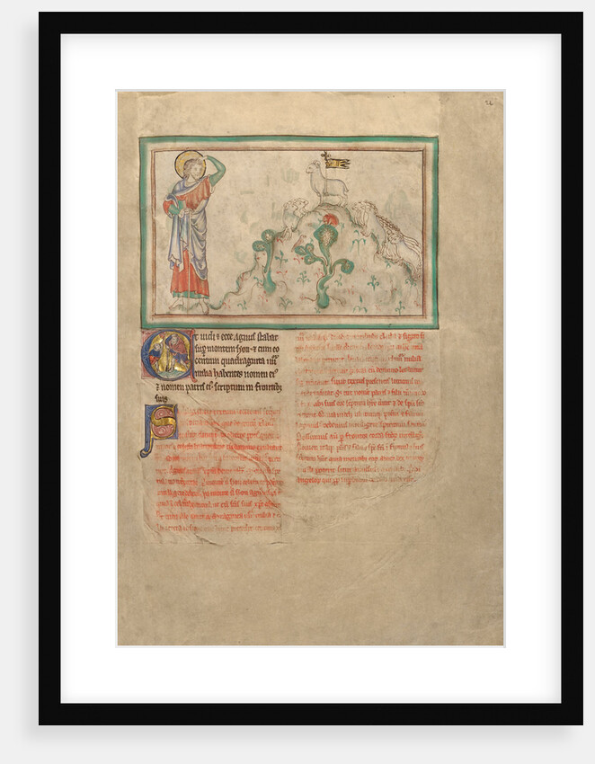 The Lamb on Mount Sion by Anonymous