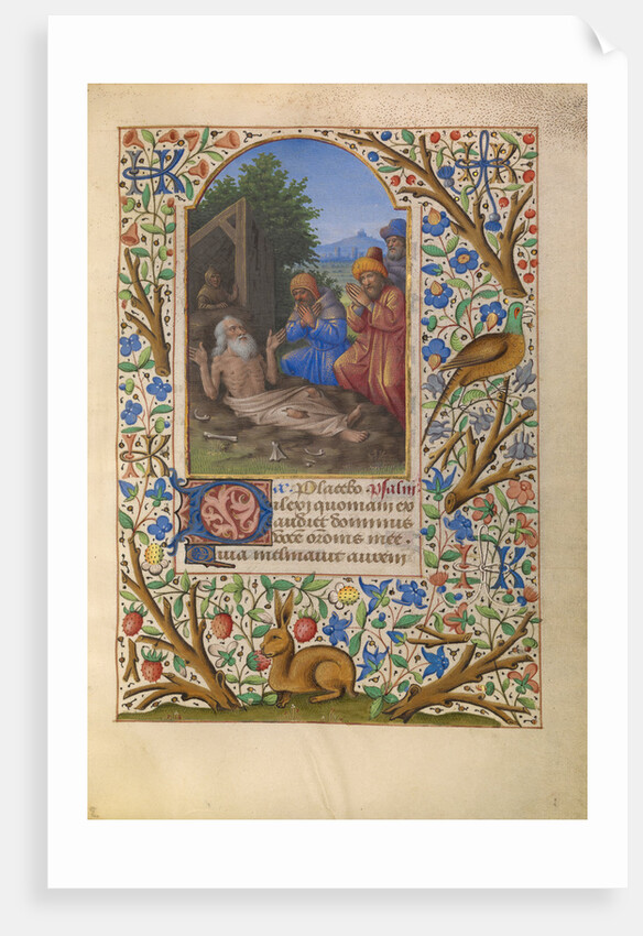 Job on the Dung Heap by Jean Bourdichon