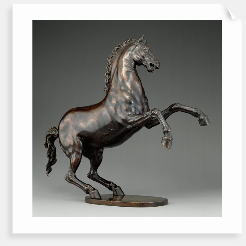 Rearing Horse by Adriaen de Vries