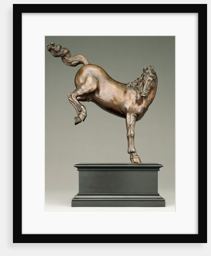 Kicking Horse by Caspar Gras