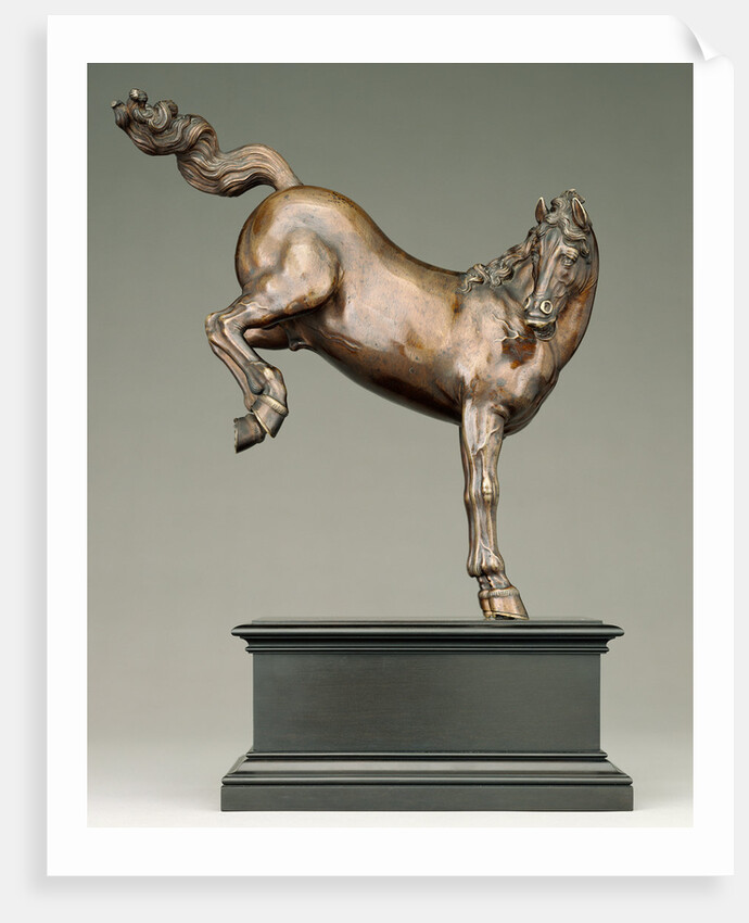 Kicking Horse by Caspar Gras