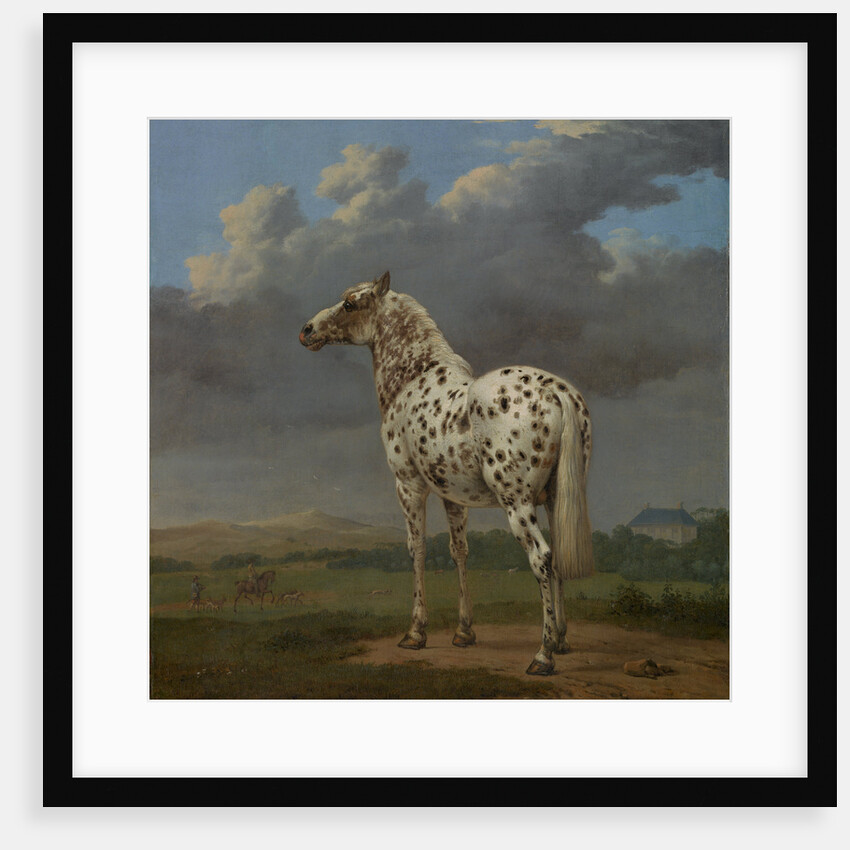 The Piebald Horse by Paulus Potter
