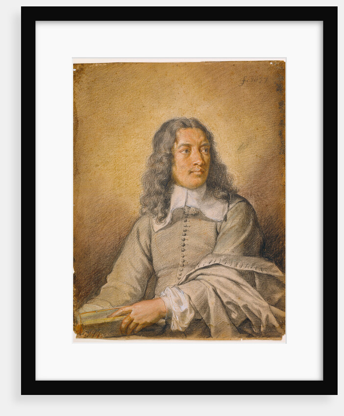 Portrait of M. Quatrehomme du Lys by Charles Le Brun