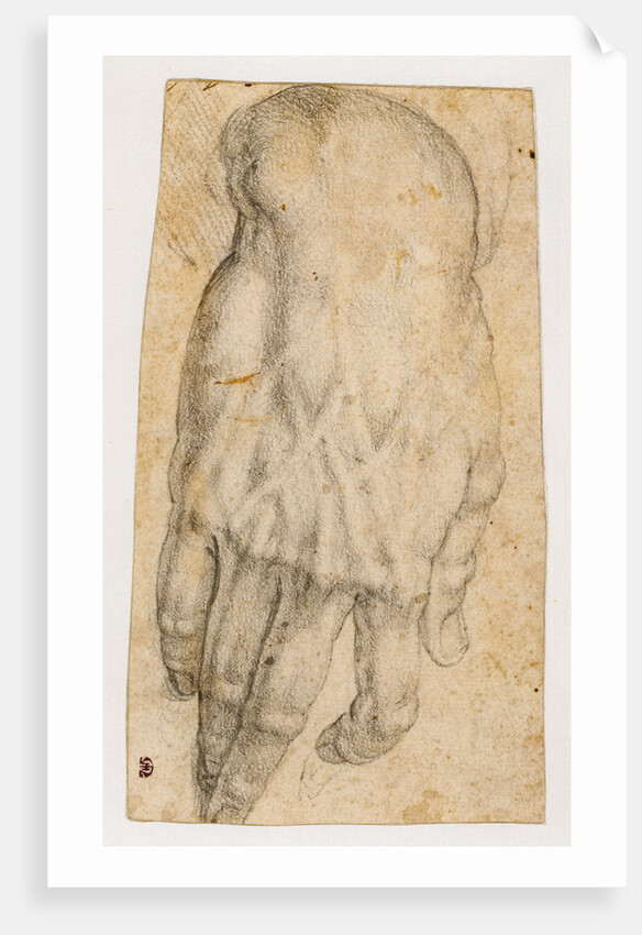 Study of a man's right hand (recto), Studies of four heads and of a nude figure seen from the rear (verso) by Agnolo Bronzino