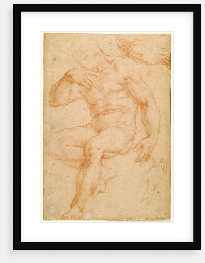 Studies of a Male Nude, a Drapery, and a Hand by Giorgio Vasari
