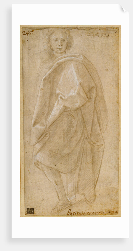 Seated Young Man by Anonymous