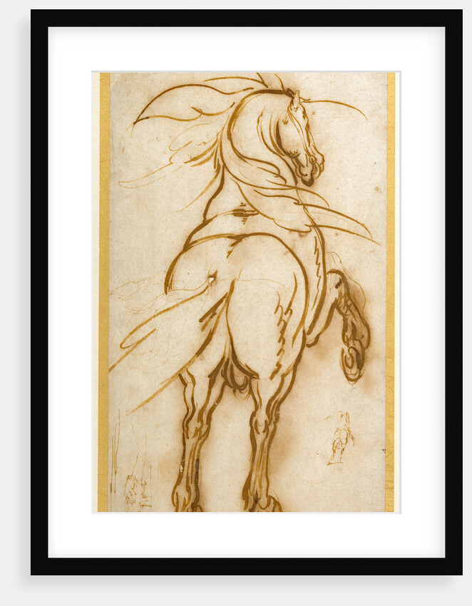 Study of a Rearing Horse by Jacques Callot