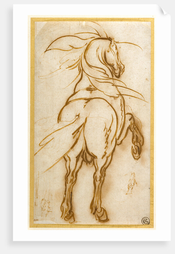 Study of a Rearing Horse by Jacques Callot