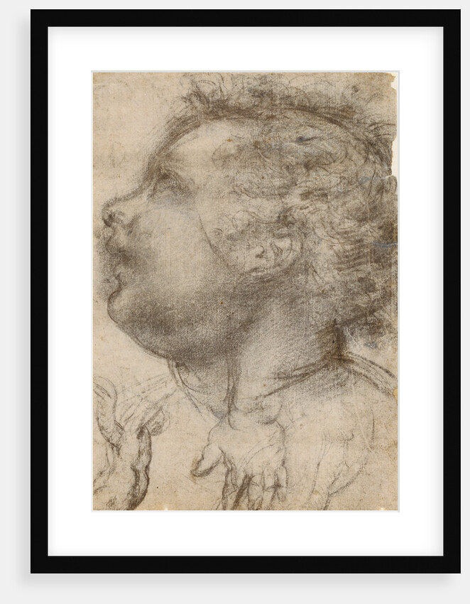 Head of a Child, an Angel and a Hand (recto), Male Figure (verso) by Fra Bartolommeo