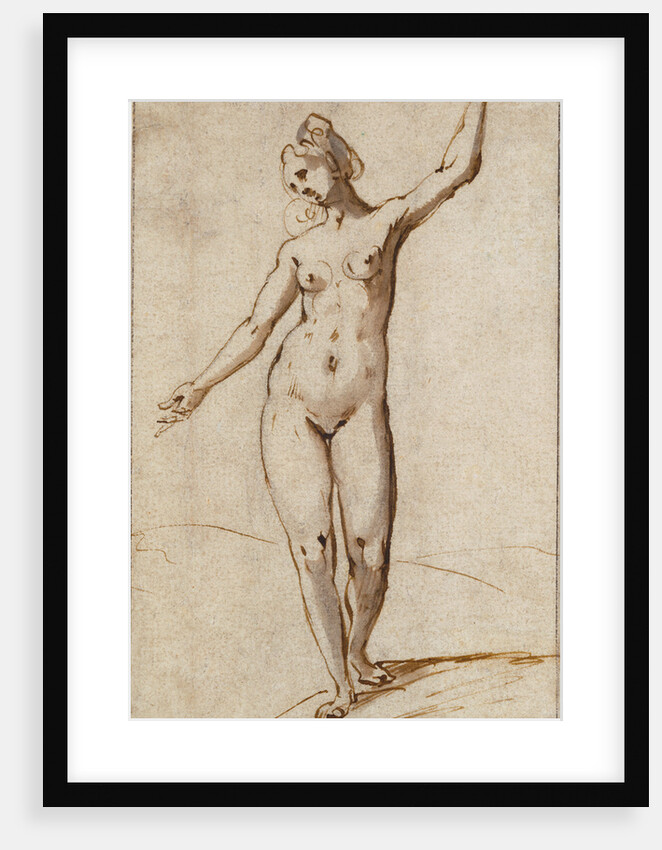 Female Nude by Karel van Mander