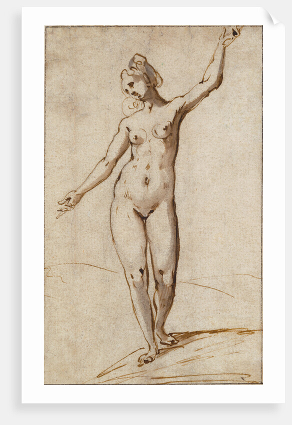 Female Nude by Karel van Mander