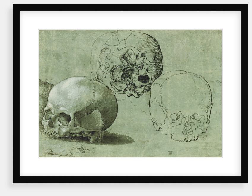 Study of Three Skulls (recto), Architectural Study (verso) by Anonymous