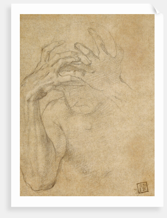 Study of Jealousy by Agnolo Bronzino