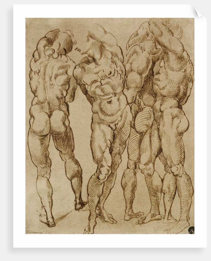 Nude Studies by Bartolomeo Passarotti