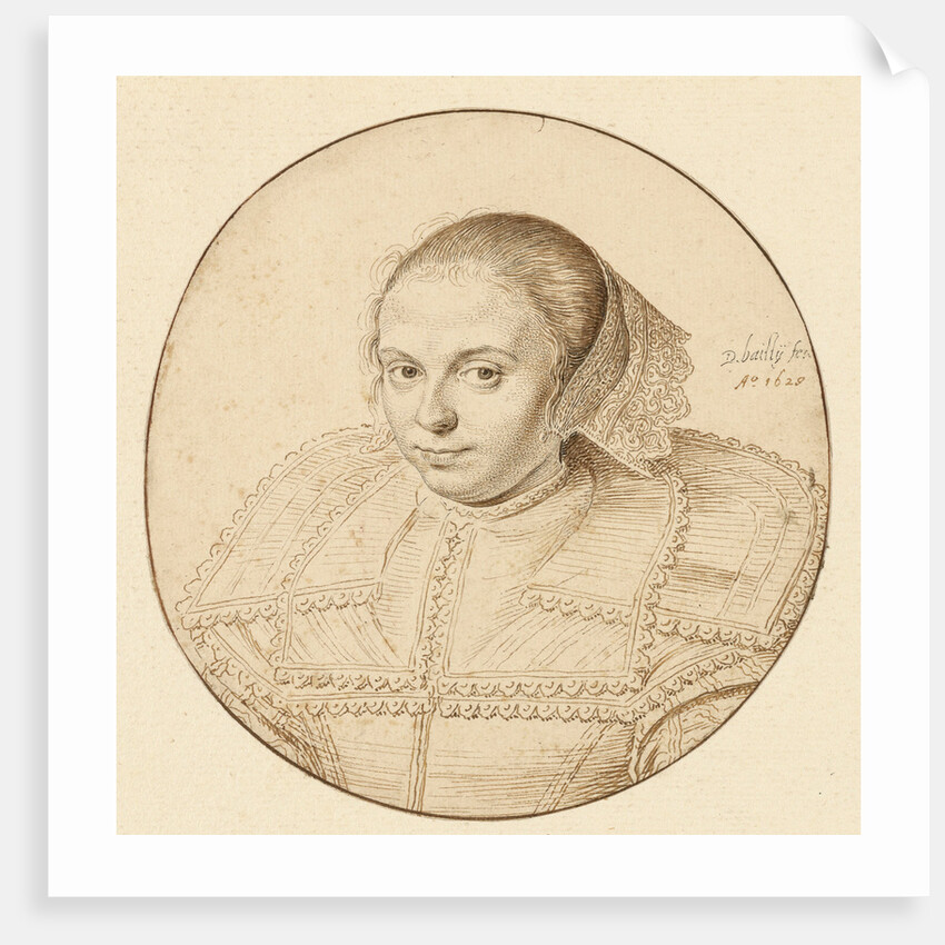 Portrait of a Woman by David Bailly