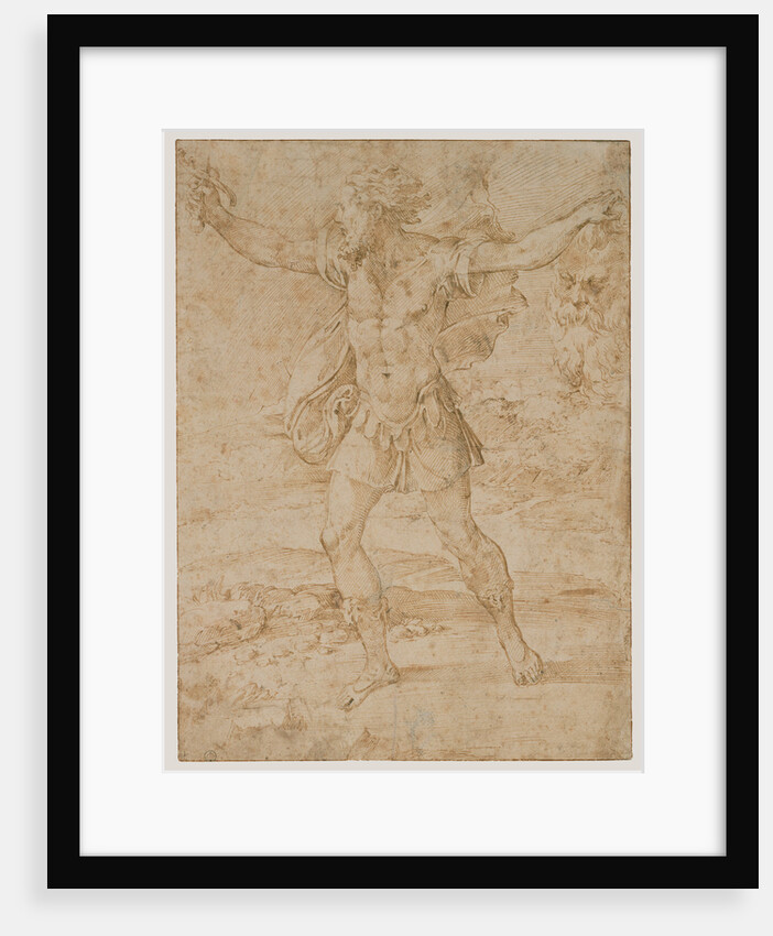 David with the Head of Goliath by Parmigianino
