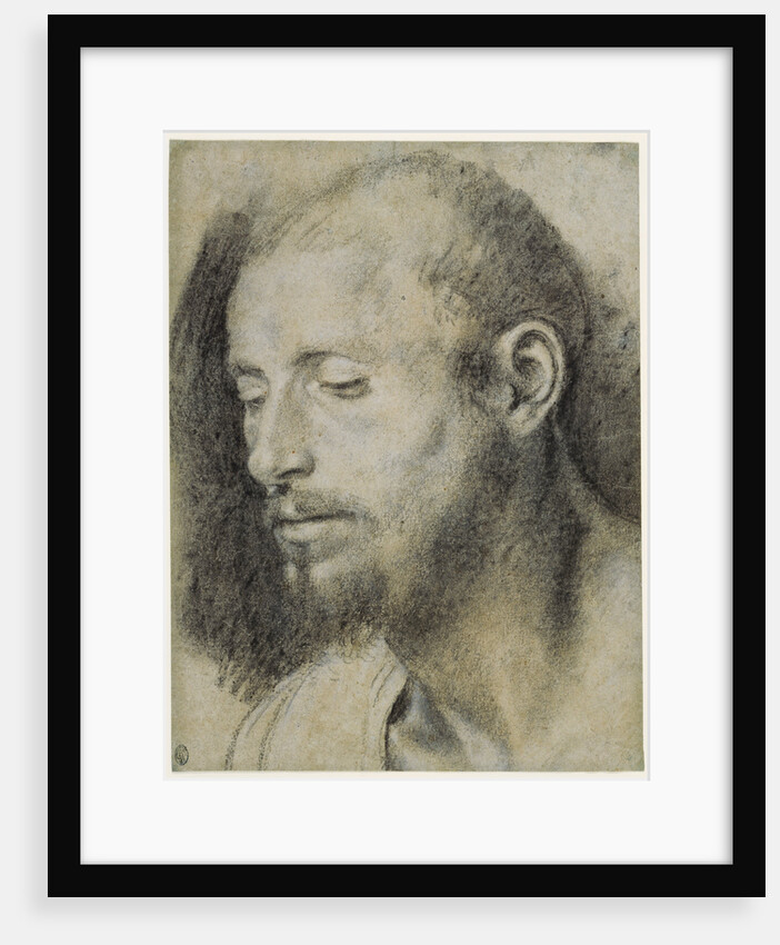 Study of the Head of a Bearded Man by Giovanni Girolamo Savoldo