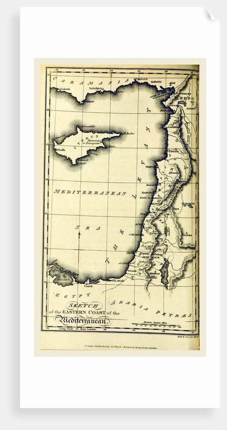 Letters from Palestine by Anonymous