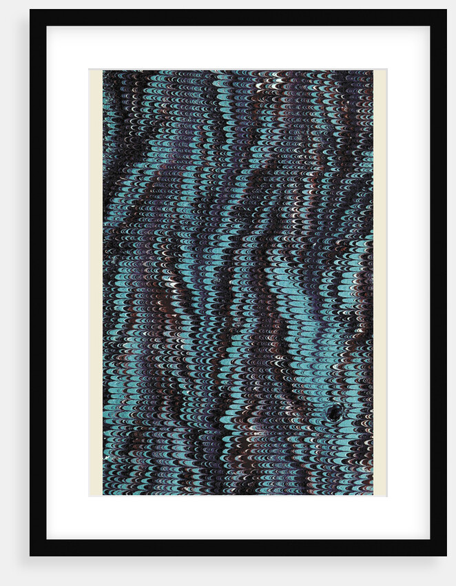 marbled paper, 19th century by Anonymous
