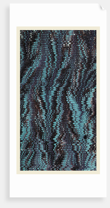 marbled paper, 19th century by Anonymous