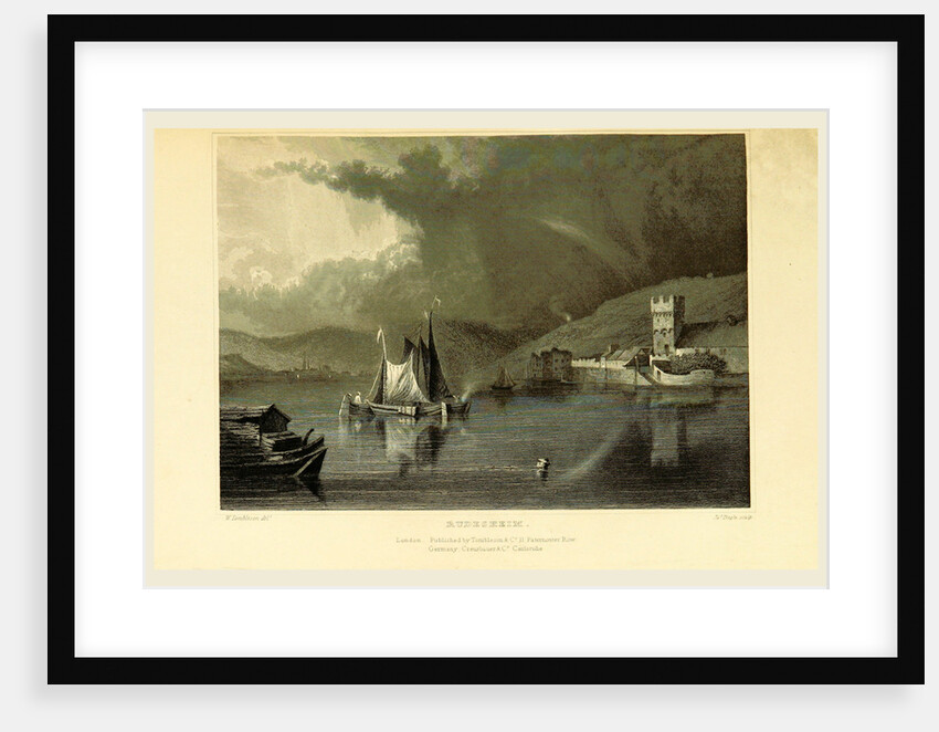 Rudesheim, Germany, Tombleson's Views of the Rhine, Tombleson's Views of the Rhine by Anonymous