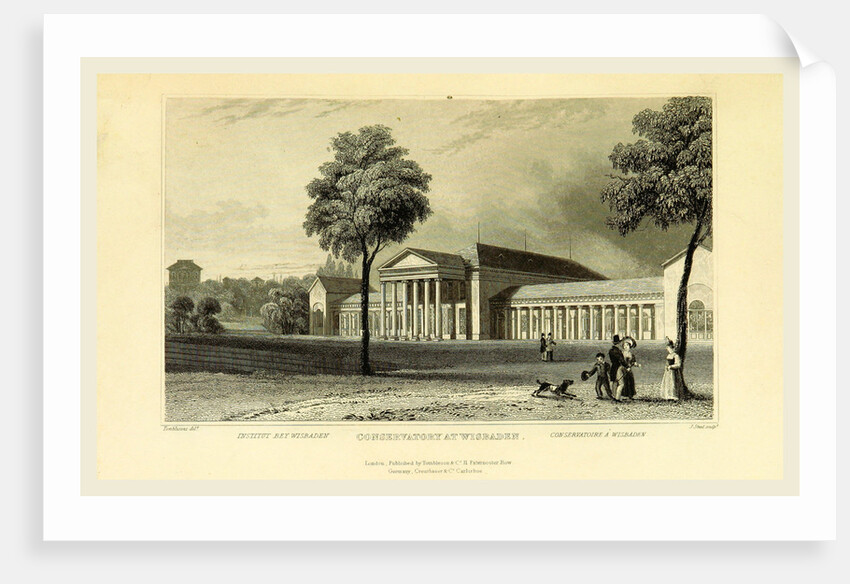 Conservatory at Wiesbaden, Germany, Tombleson's Views of the Rhine. by Anonymous