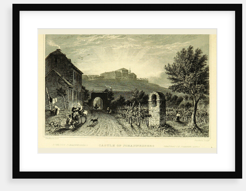 Castle of Johannesberg, Germany, Tombleson's Views of the Rhine, Tombleson's Views of the Rhine by Anonymous